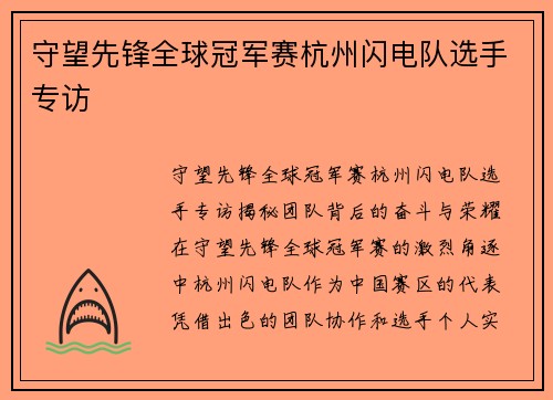 守望先锋全球冠军赛杭州闪电队选手专访