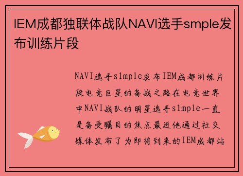IEM成都独联体战队NAVI选手smple发布训练片段