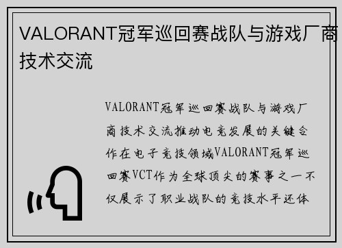 VALORANT冠军巡回赛战队与游戏厂商技术交流