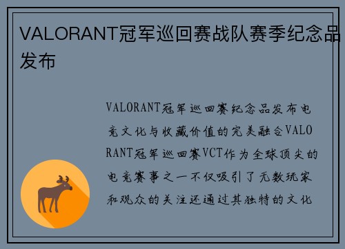 VALORANT冠军巡回赛战队赛季纪念品发布