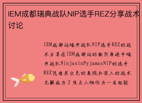 IEM成都瑞典战队NIP选手REZ分享战术讨论